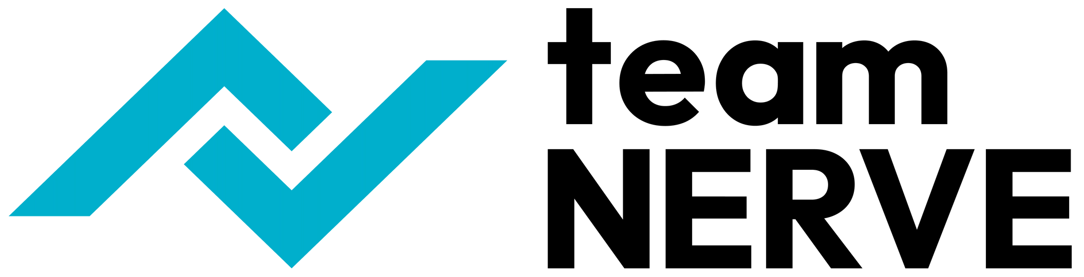 TEAM-NERVE公式Webサイト